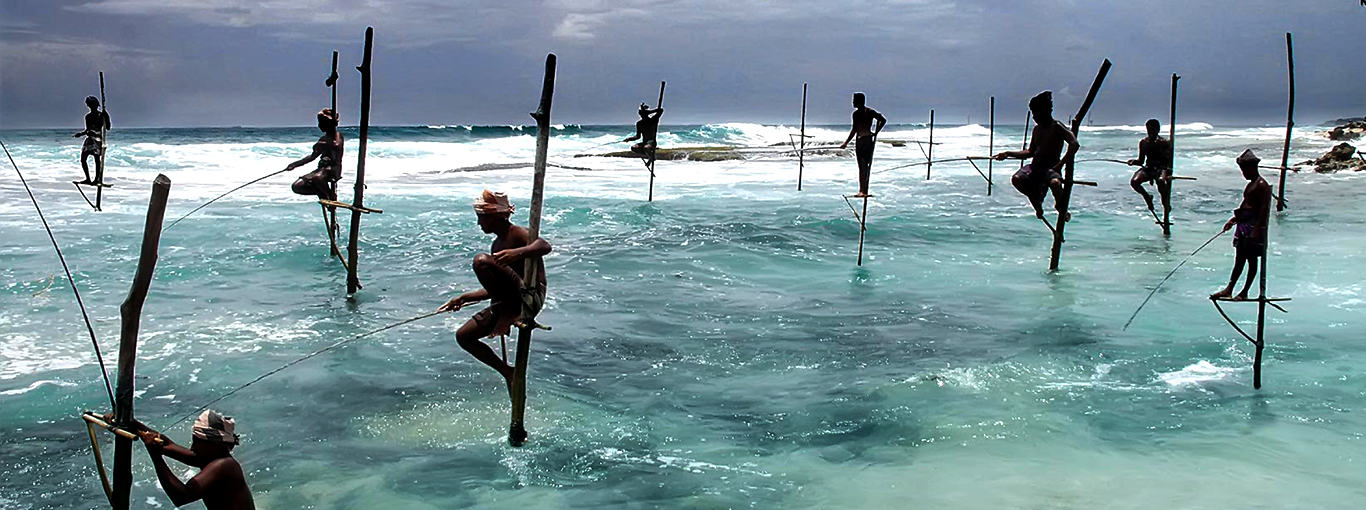 Sri Lanka Traditional Fishing - Stilt Fishing