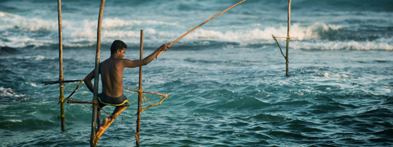 Sri Lanka Traditional Fishing - Stilt Fishing