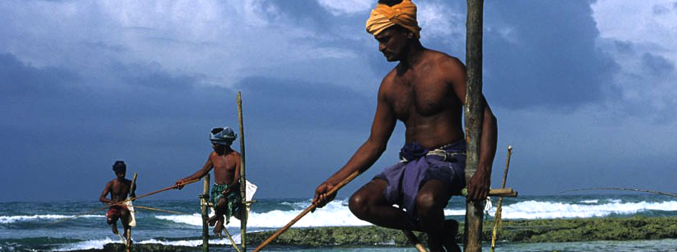 Sri Lanka Traditional Fishing - Stilt Fishing