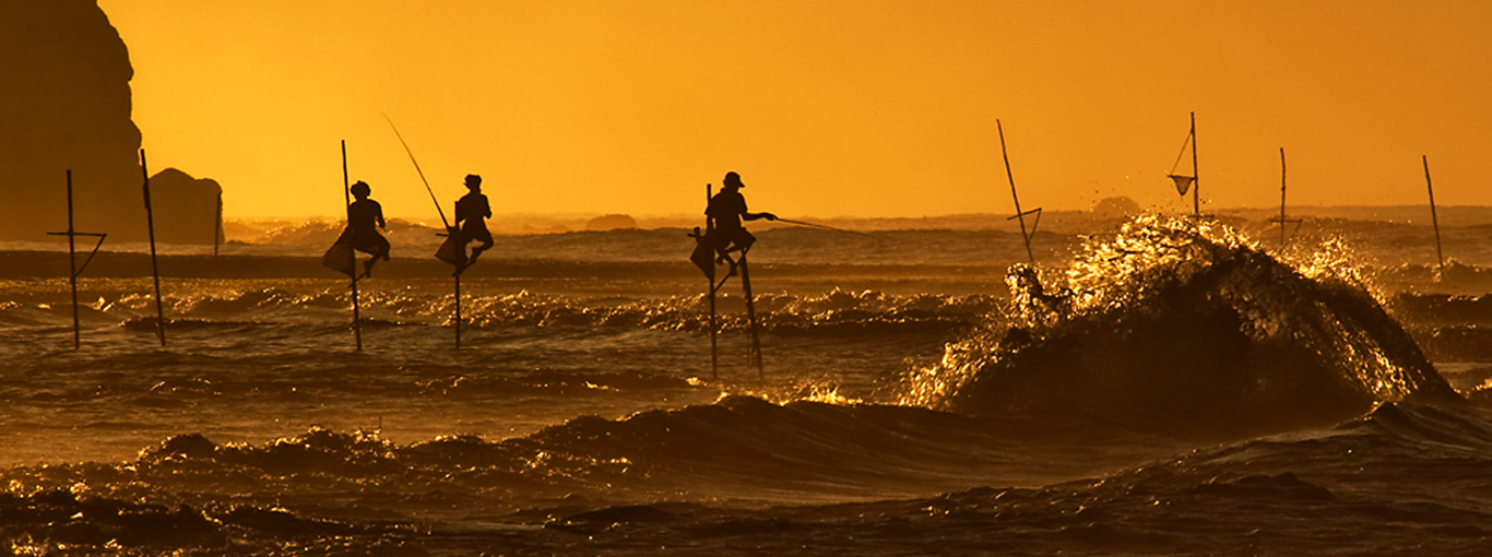 Sri Lanka Traditional Fishing - Stilt Fishing