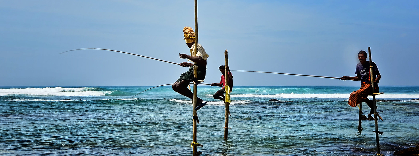 Sri Lanka Traditional Fishing - Stilt Fishing