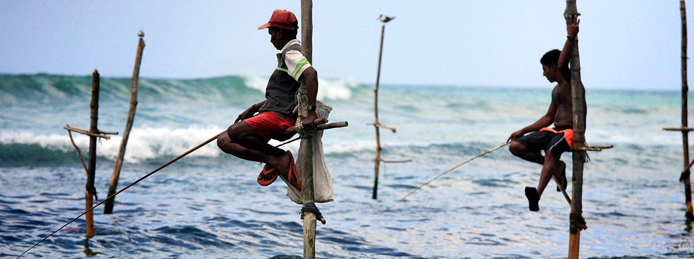 Sri Lanka Traditional Fishing - Stilt Fishing