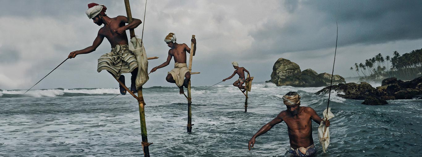 Sri Lanka Traditional Fishing - Stilt Fishing